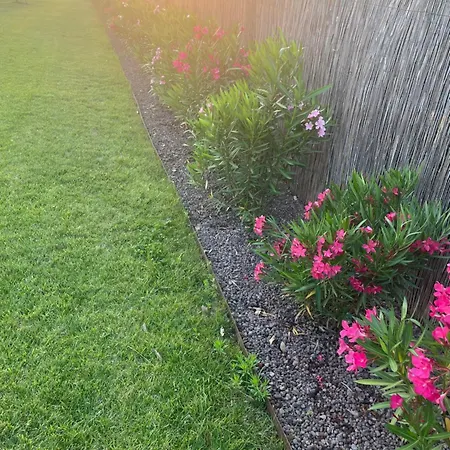 Il Fiore Del B&B Pacengo Di Lazise