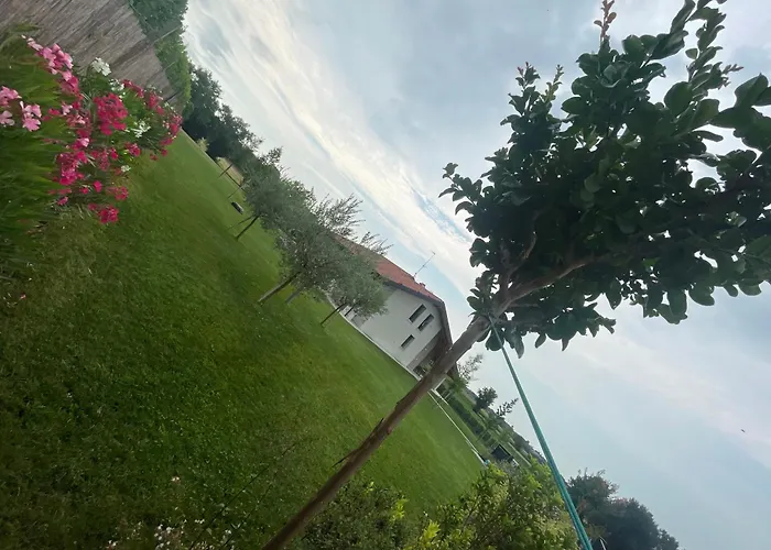 Il Fiore Del 3* Pacengo Di Lazise