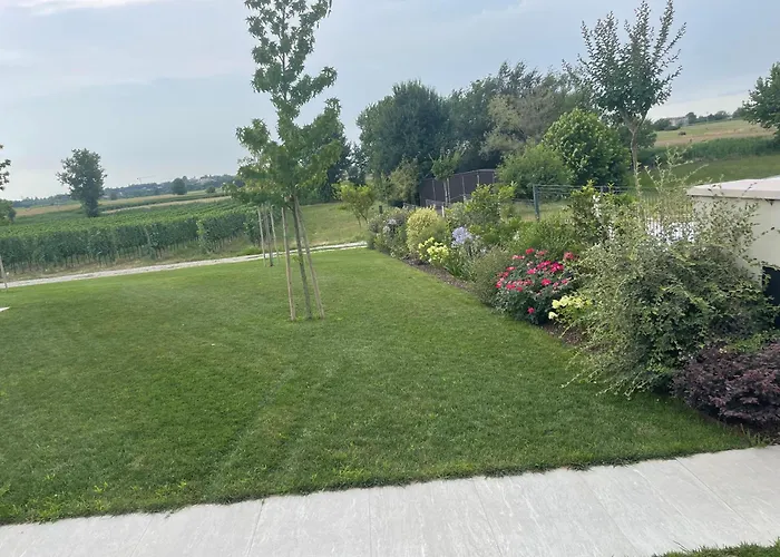 Il Fiore Del Pacengo Di Lazise