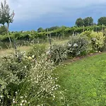 Il Fiore Del 3*