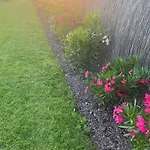 Il Fiore Del Bed and Breakfast Pacengo Di Lazise