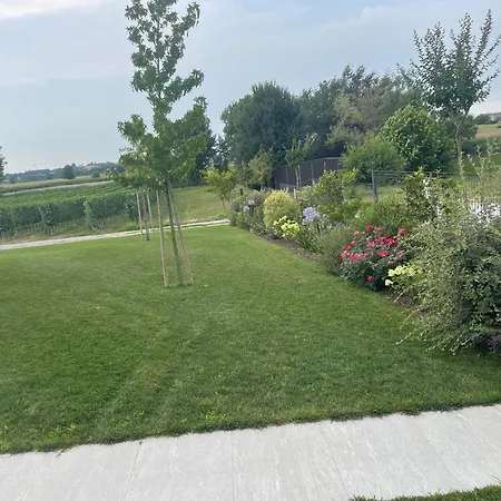 Il Fiore Del Pacengo Di Lazise