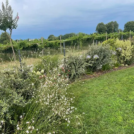 Il Fiore Del 3*